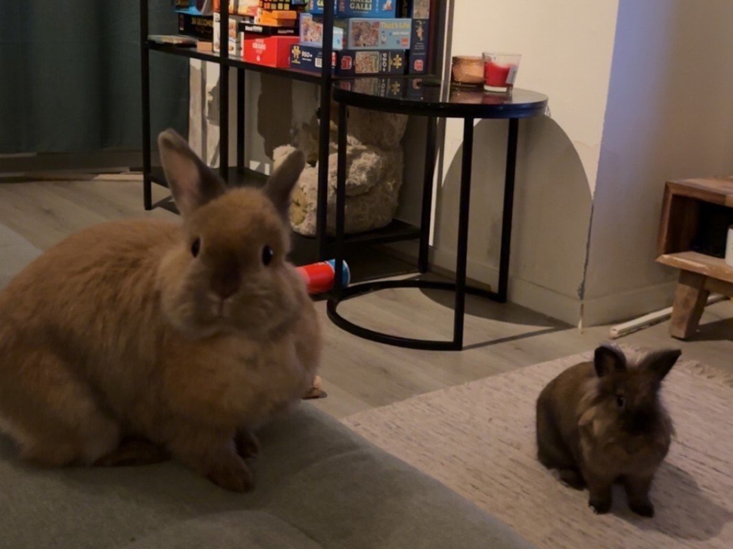 Swiffer