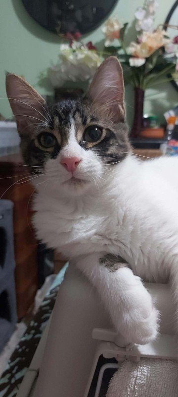 Charlie