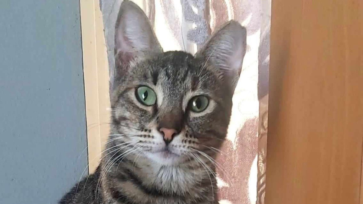 Vivian