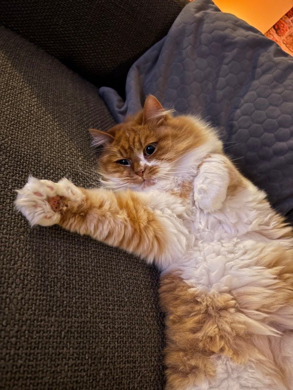 Marley