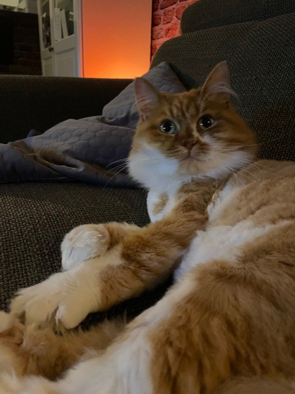 Marley