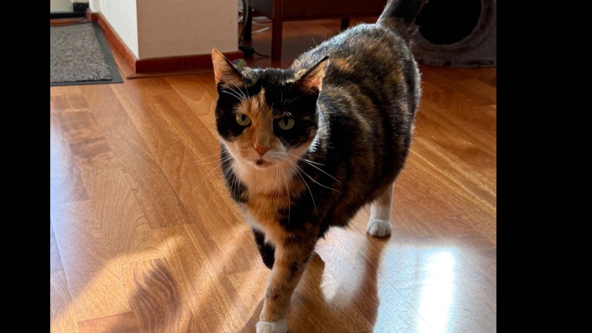 Coco