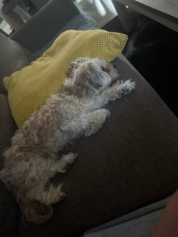 Pip