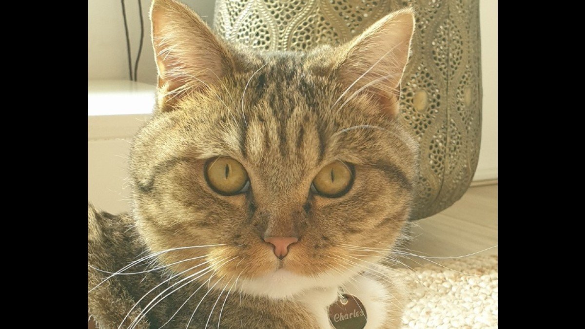 Charlie