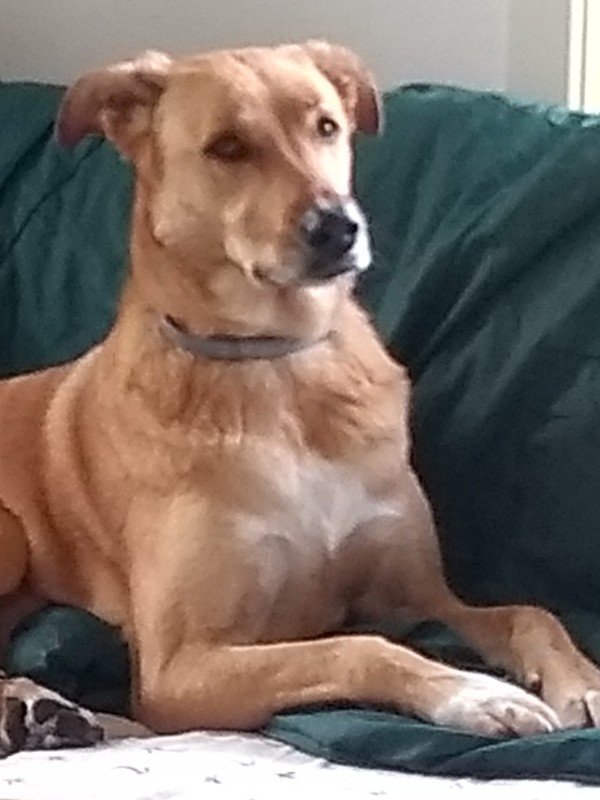 Jet