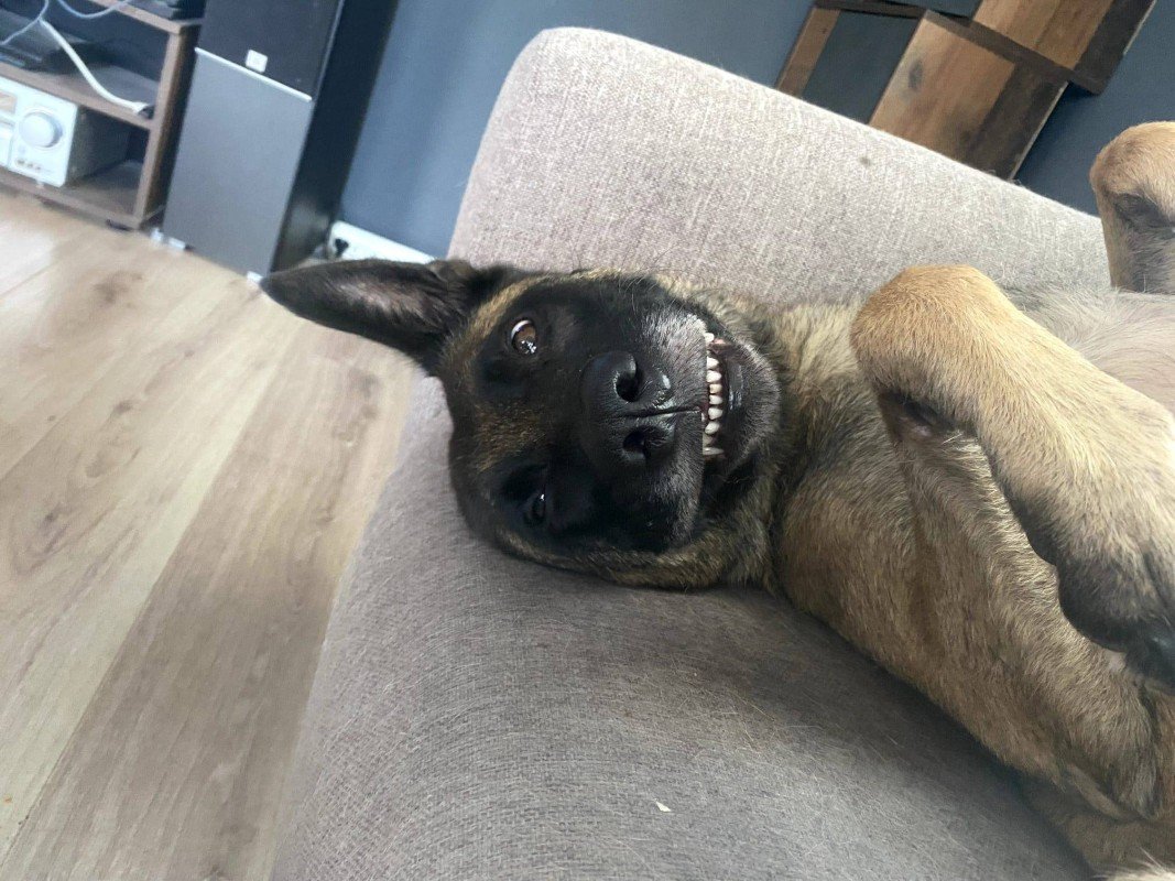 Beau