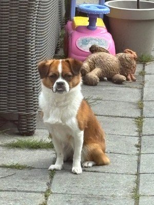 Pip
