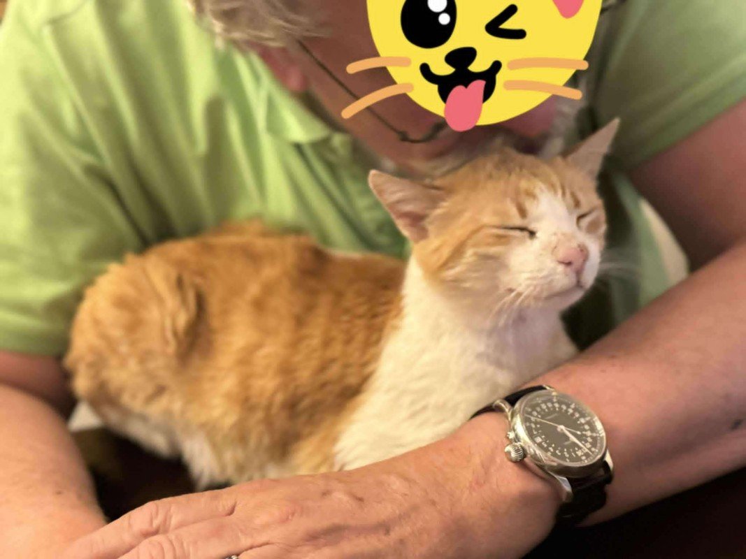 Jerry