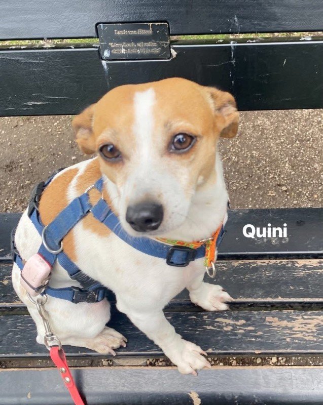 Quini en China