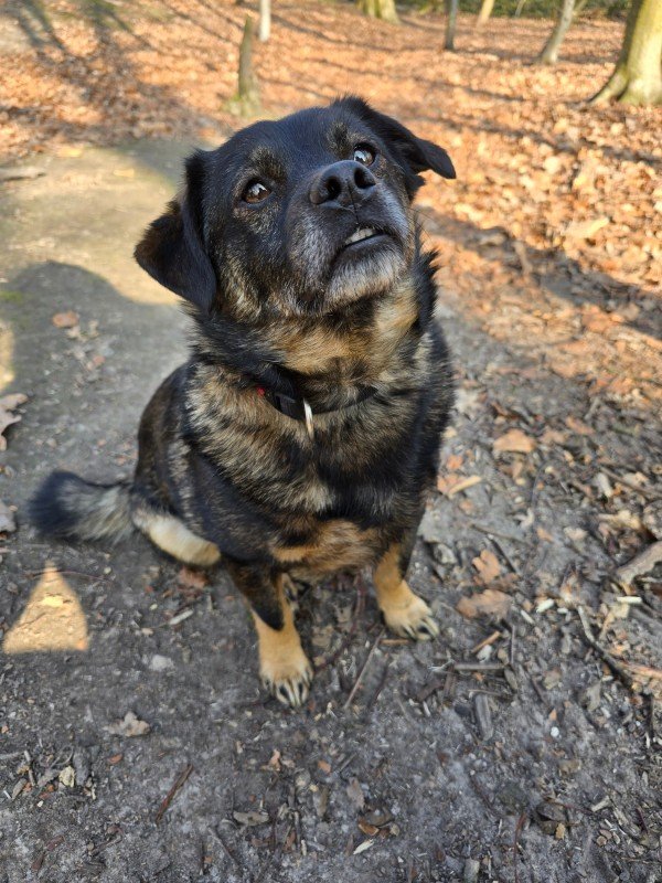 Tyson