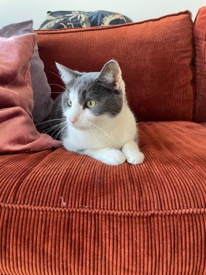 Nora