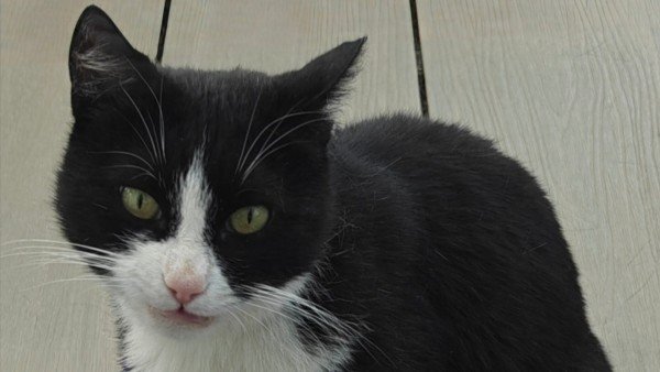 Max
