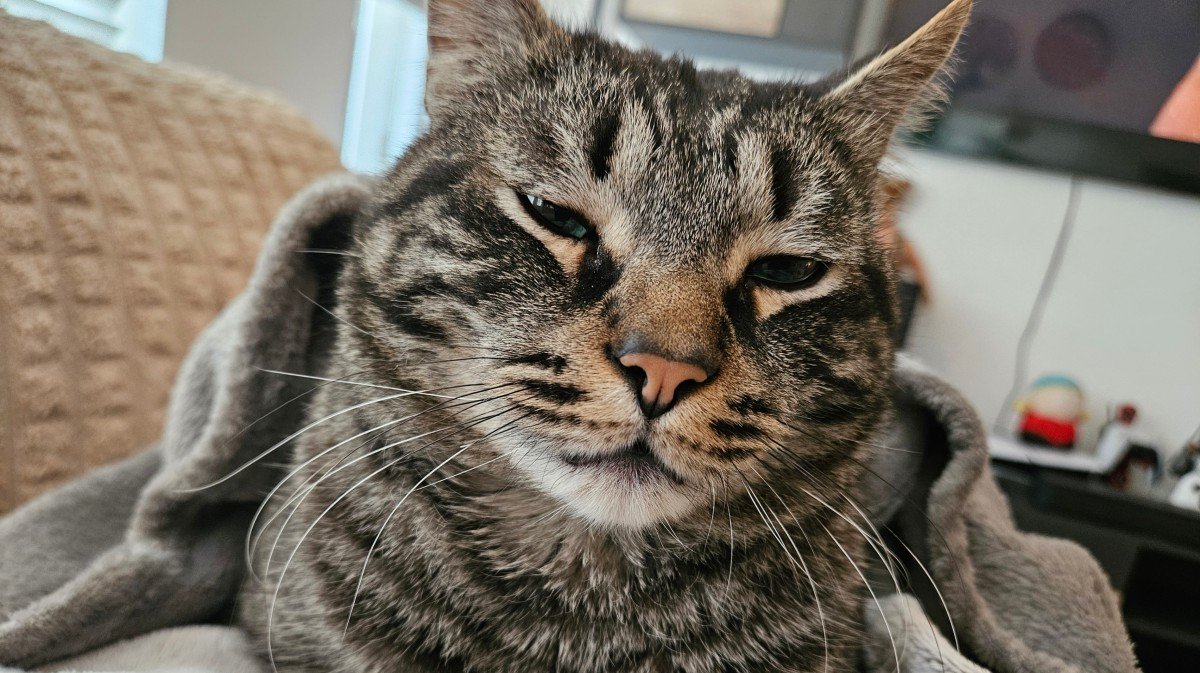 Snolly