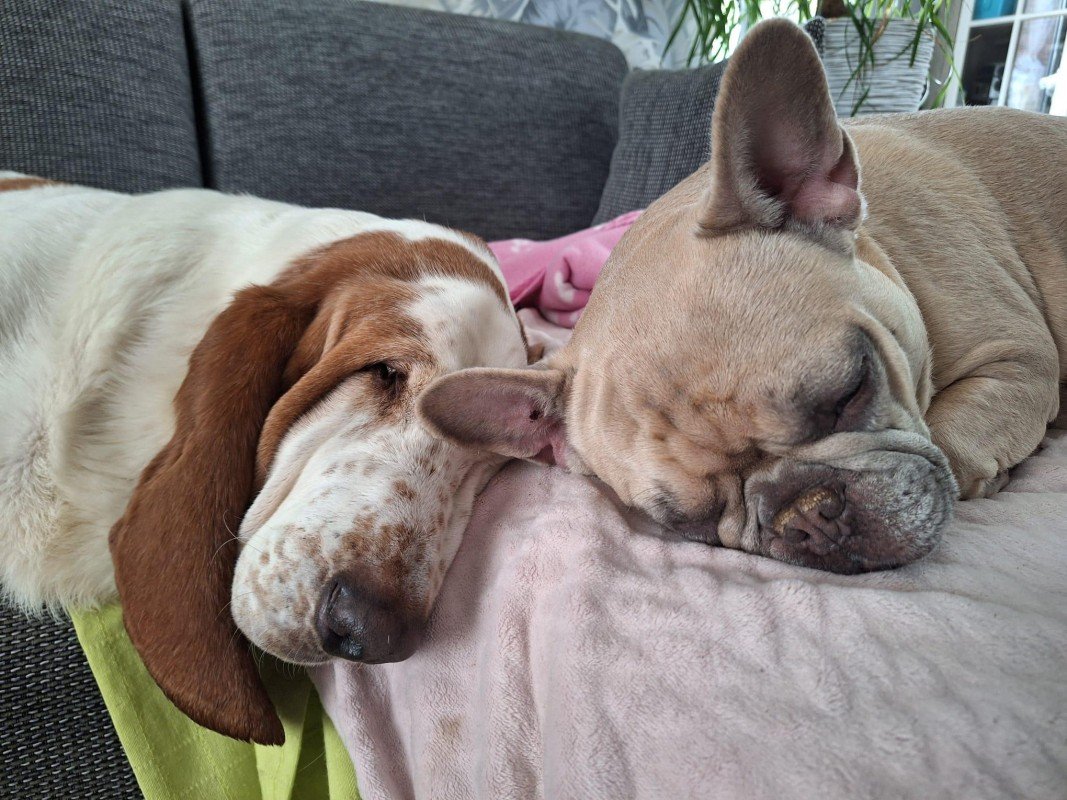 Guus en Lola