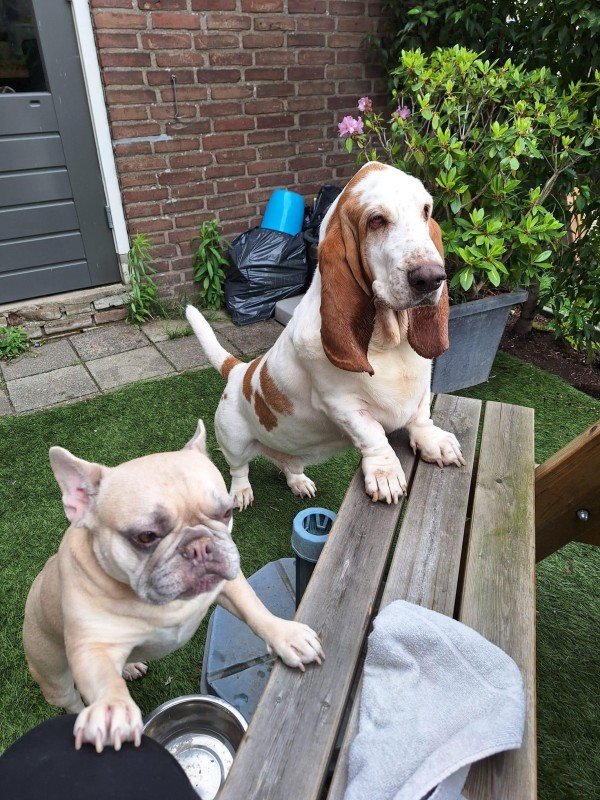 Guus en Lola