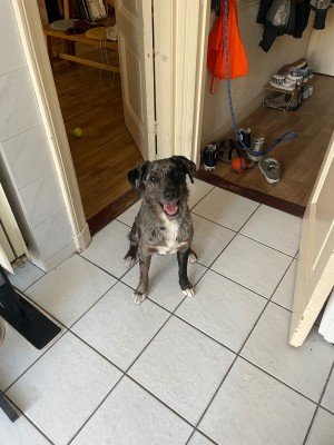 Doris