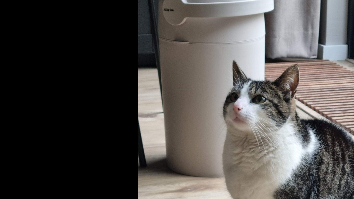 Milo