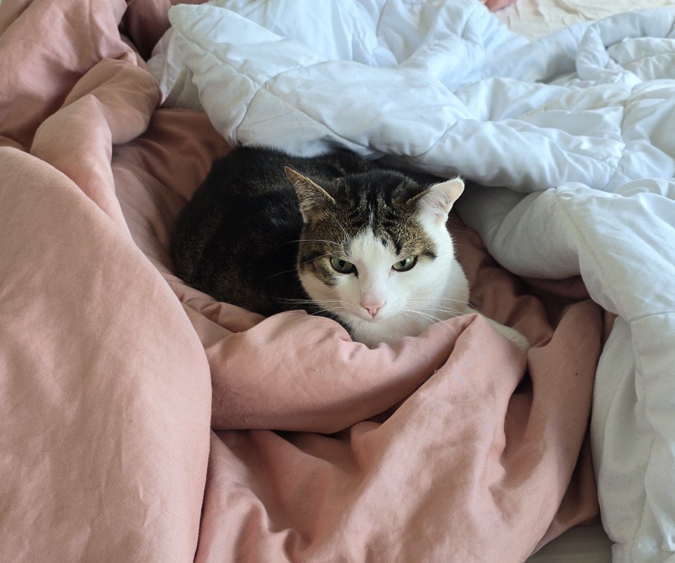 Luca
