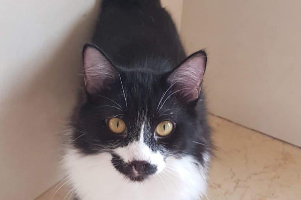 Tyson