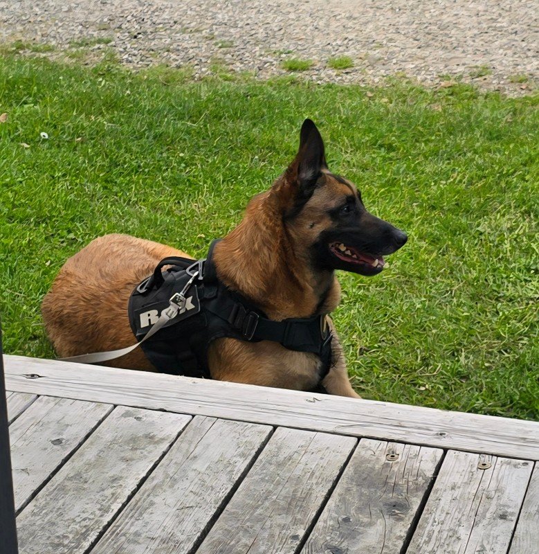 Rex