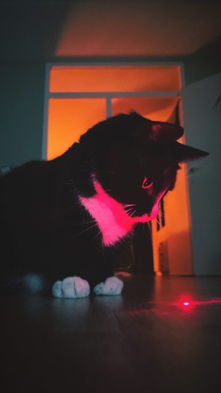 Jiji