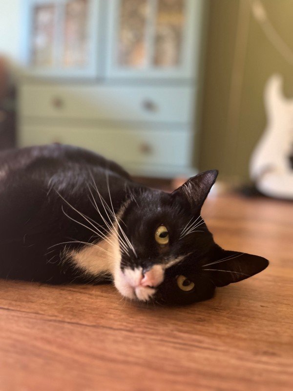 Jiji
