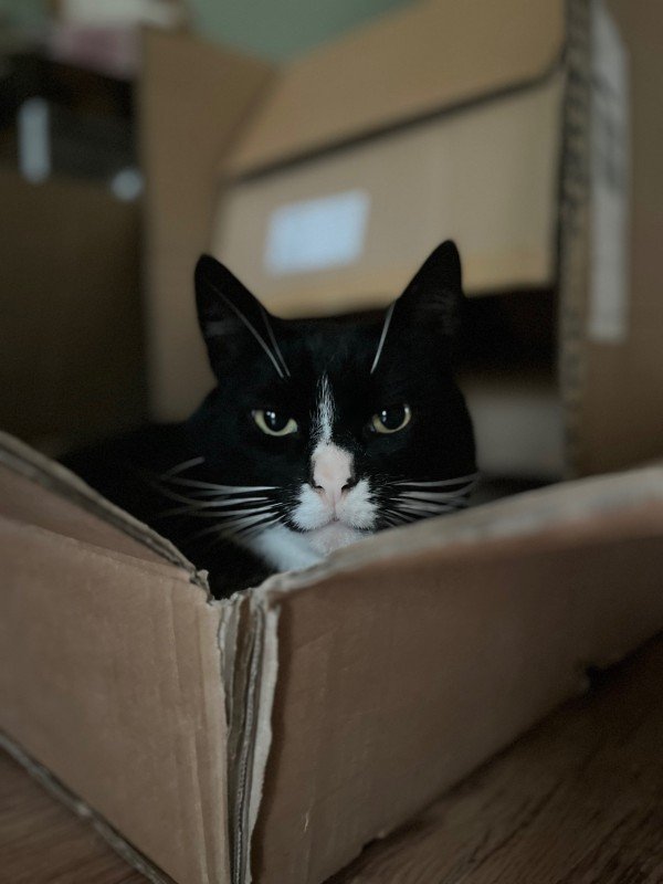 Jiji