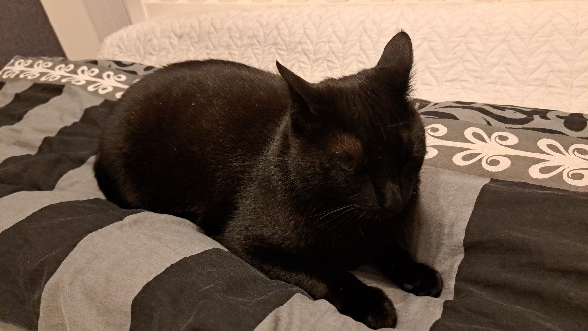 Blacky