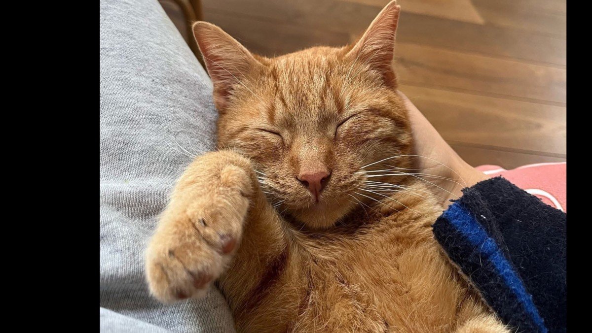 Oliver