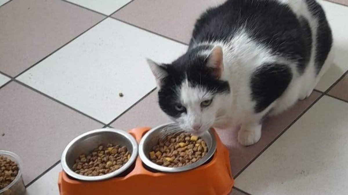 Sam