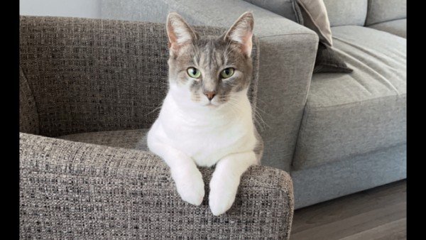 Nala