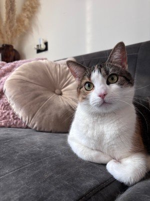 Luna