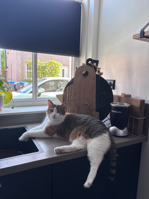 Luna