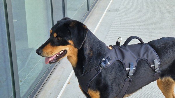 Bruno