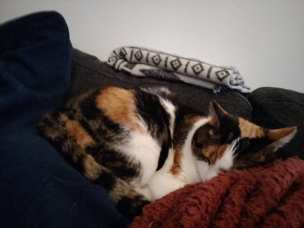 Missy