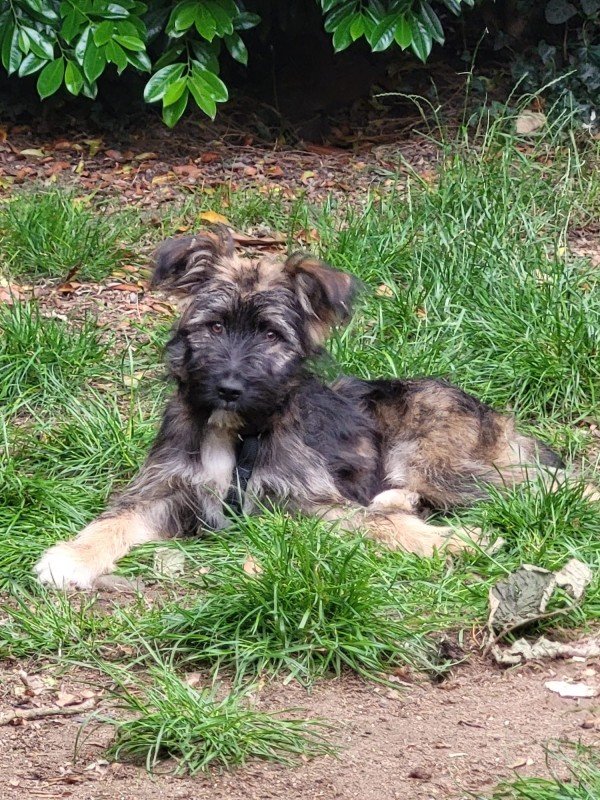 Bailey