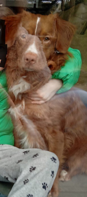 Flody