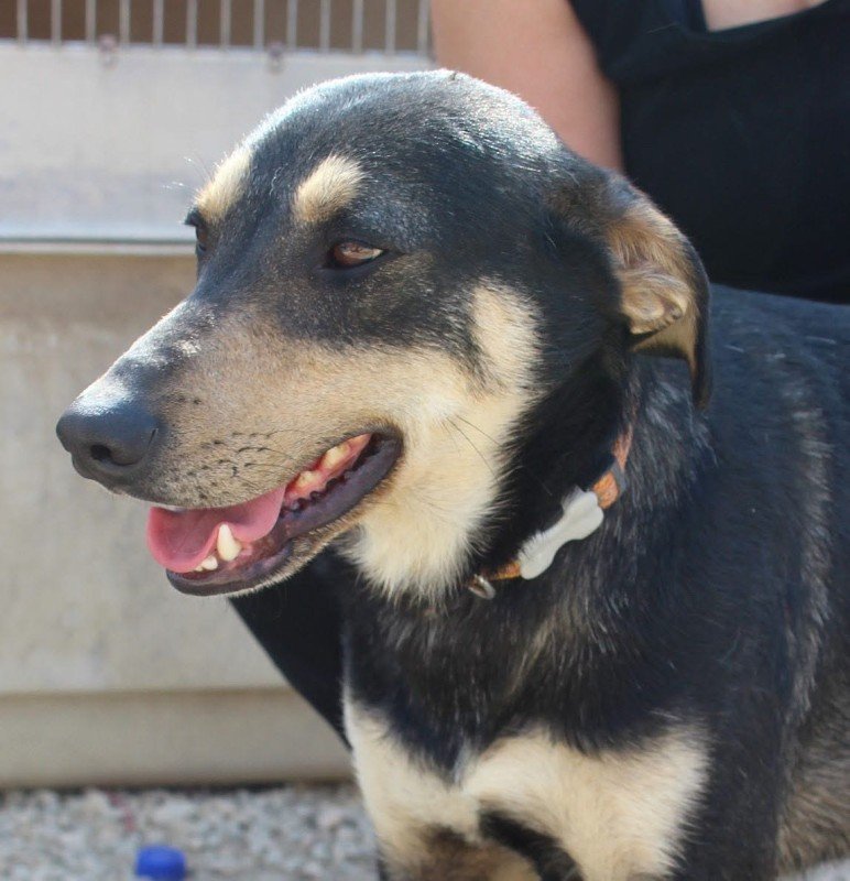 Tino