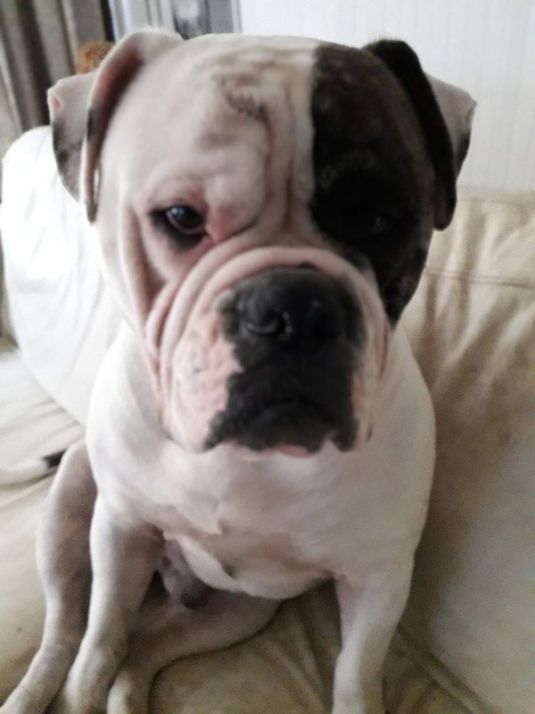 Max