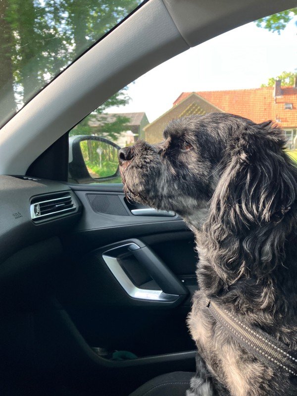 Zoë