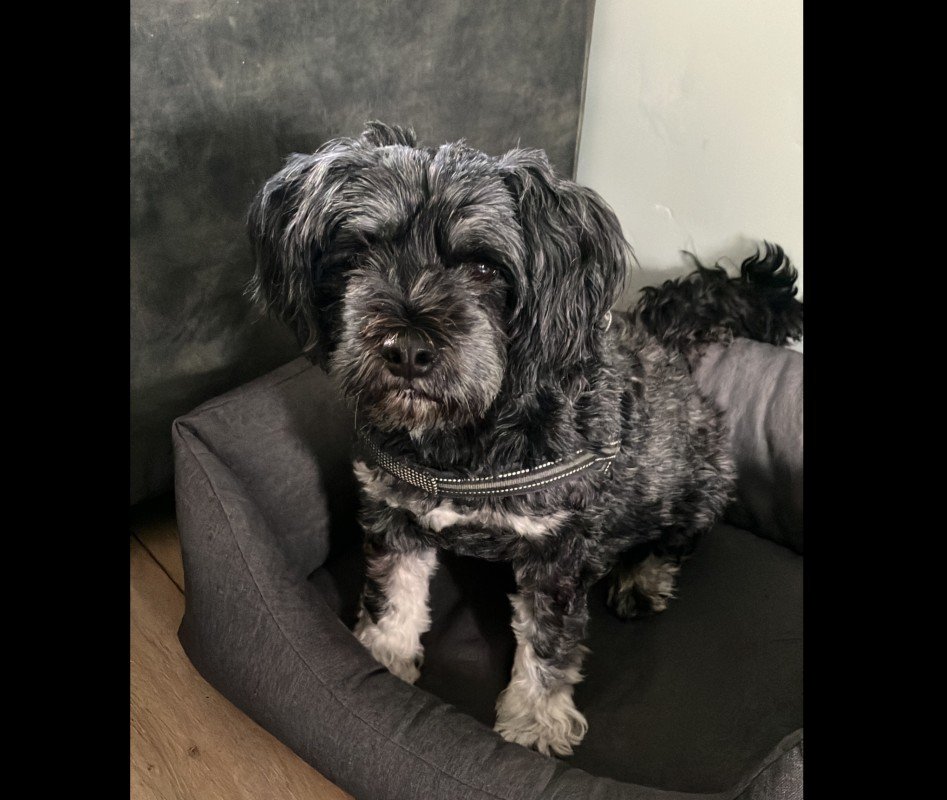 Zoë