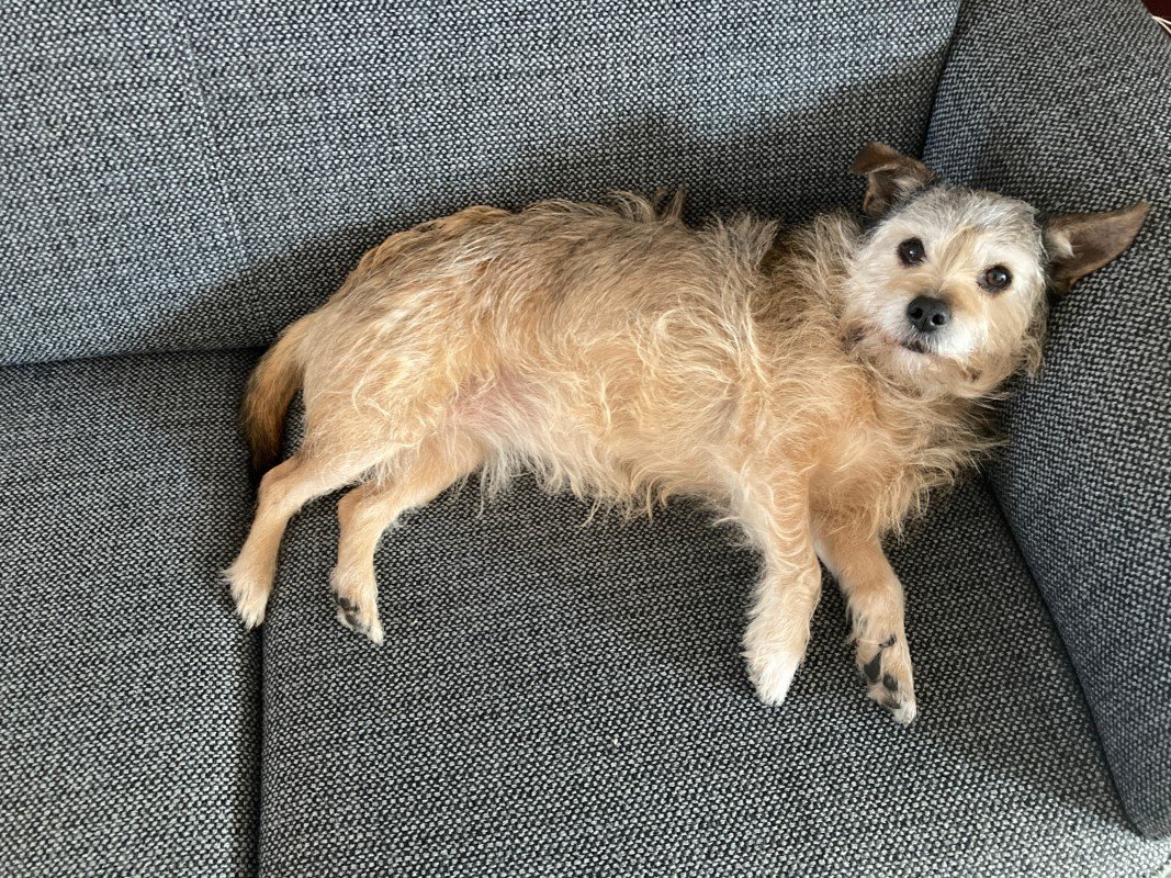 Emie