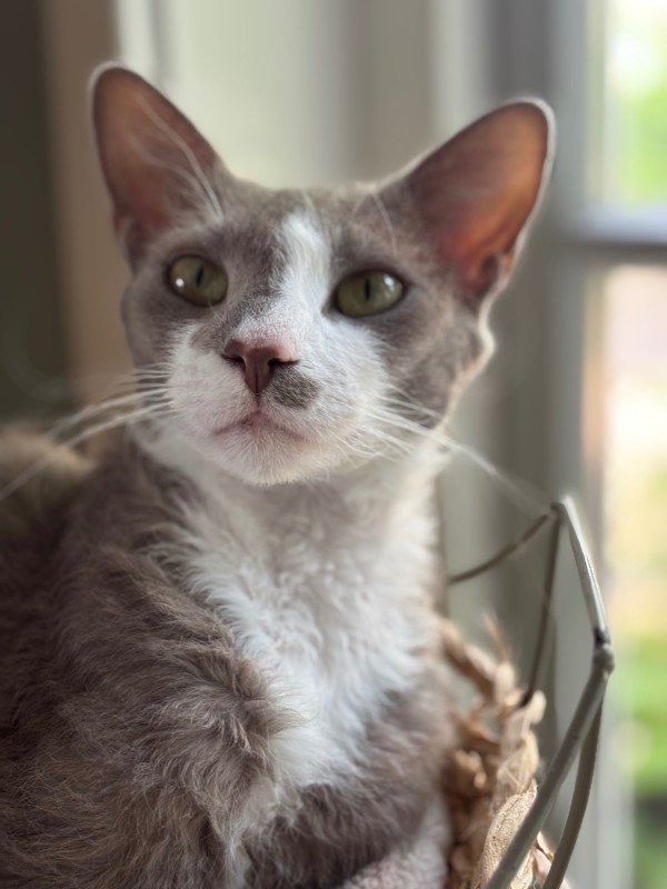 Charlie