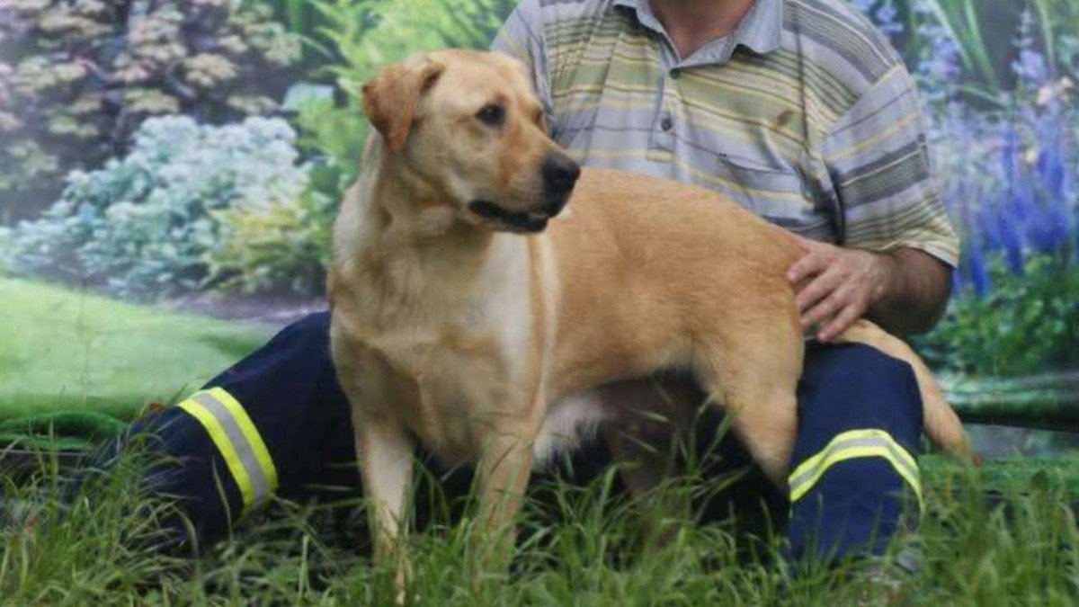 Ronja