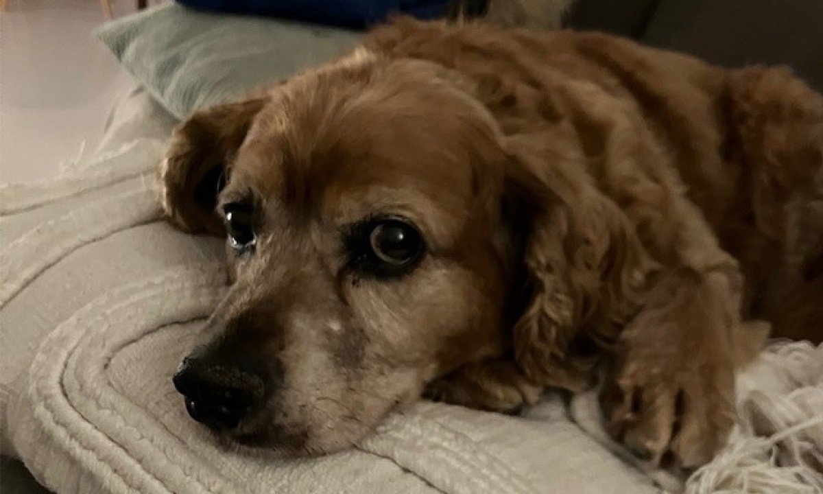 Oscar