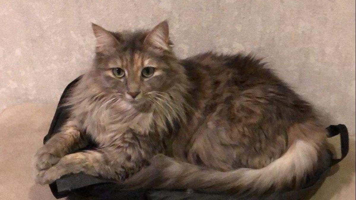 Luna