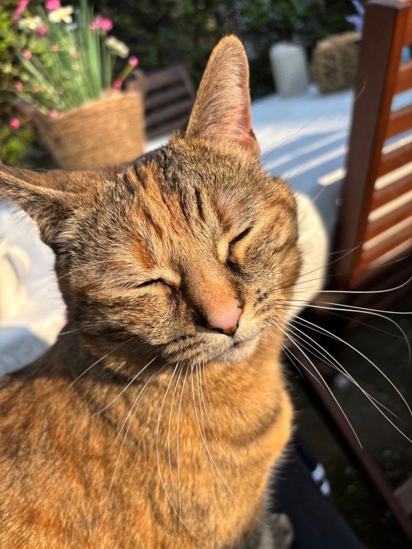 Coco