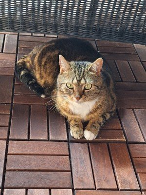 Luna