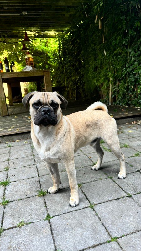 Tuco