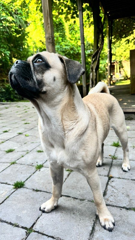 Tuco